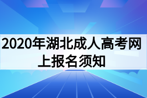 2020年湖北成人高考网上报名须知