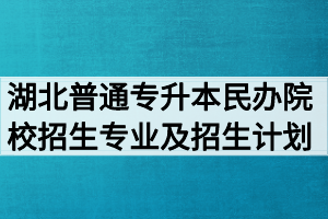 2020年湖北普通专升本民办院校招生专业及招生计划列表