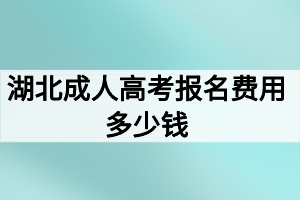 湖北成人高考报名费用多少钱