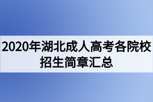 2020年湖北成人高考各院校招生简章汇总