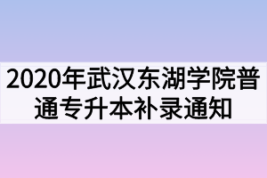 2020年武汉东湖学院普通专升本补录通知