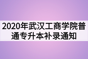 2020年武汉工商学院普通专升本补录通知