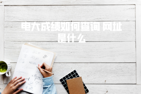 电大成绩如何查询 网址是什么 电大成绩如何查询 网址是什么