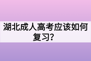 湖北成人高考应该如何复习? 湖北成人高考应该如何复习?