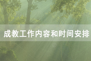 成教办主要工作内容和时间安排表