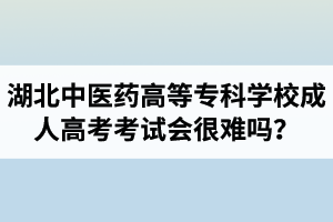 湖北中医药高等专科学校成人高考考试会很难吗？压力会不会很大？