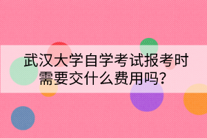 武汉大学自学考试报考时需要交什么费用吗？