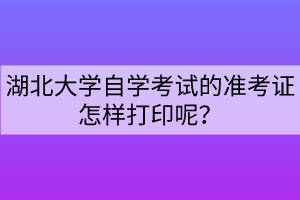 湖北大学自学考试的准考证怎样打印呢？