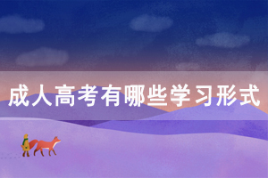 湖北民族大学成人高考有哪些学习形式