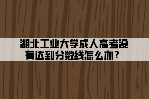湖北工业大学成人高考没有达到分数线怎么办？