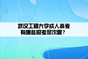 武汉工程大学成人高考有哪些报考层次呢？