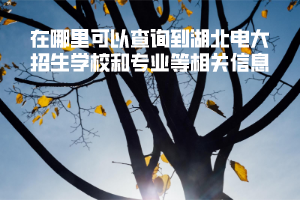 在哪里可以查询到湖北电大招生学校和专业等相关信息 在哪里可以查询到湖北电大招生学校和专业等相关信息