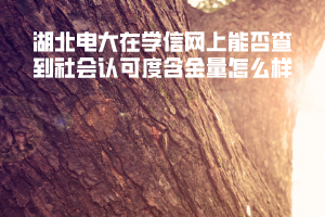湖北电大在学信网上能否查到社会认可度含金量怎么样 湖北电大在学信网上能否查到社会认可度含金量怎么样