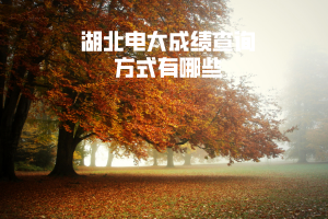 湖北电大成绩查询方式有哪些