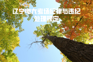 辽宁电大考场纪律与违纪处理规定