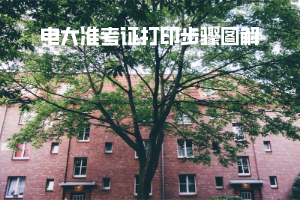 电大准考证打印步骤图解