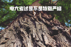 电大考试是不是特别严格？