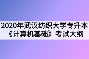 2020年武汉纺织大学普通专升本《计算机基础》考试大纲
