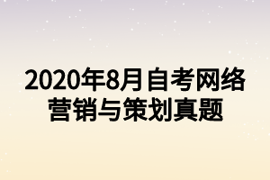 2020年8月自考网络营销与策划真题