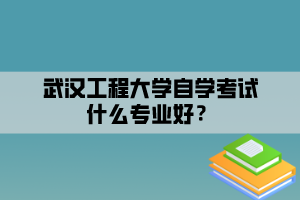 武汉工程大学自学考试什么专业好？