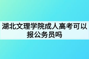 湖北文理学院成人高考可以报公务员吗？