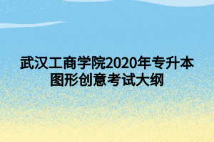 武汉工商学院2020年专升本图形创意考试大纲