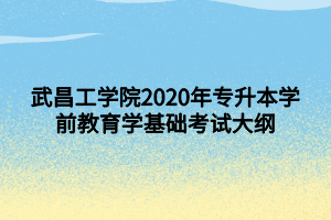 武昌工学院2020年专升本学前教育学基础考试大纲