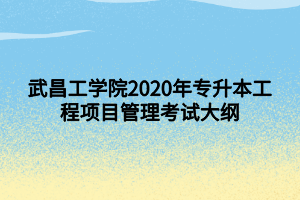 武昌工学院2020年专升本工程项目管理考试大纲
