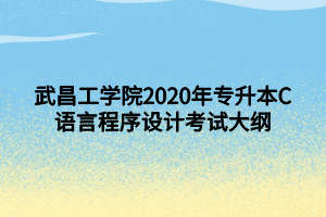 武昌工学院2020年专升本C语言程序设计考试大纲