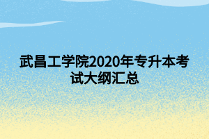 武昌工学院2020年专升本考试大纲汇总