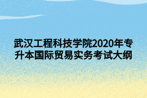 武汉工程科技学院2020年专升本国际贸易实务考试大纲