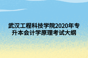 武汉工程科技学院2020年专升本会计学原理考试大纲 武汉工程科技学院2020年专升本会计学原理考试大纲