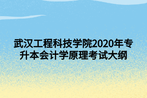 武汉工程科技学院2020年专升本会计学原理考试大纲