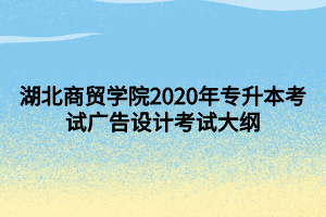 湖北商贸学院2020年专升本考试广告设计考试大纲