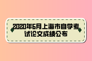 2020年6月上海市自学考试论文成绩公布