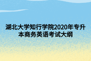 湖北大学知行学院2020年专升本商务英语考试大纲