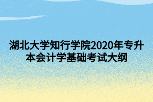 湖北大学知行学院2020年专升本会计学基础考试大纲