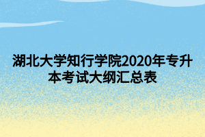 湖北大学知行学院2020年专升本考试大纲汇总表