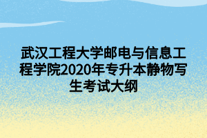 武汉工程大学邮电与信息工程学院2020年专升本静物写生考试大纲