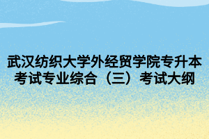 武汉纺织大学外经贸学院专升本考试专业综合（三）考试大纲