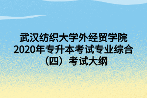 武汉纺织大学外经贸学院2020年专升本考试专业综合（四）考试大纲
