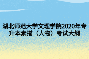 湖北师范大学文理学院2020年专升本素描（人物）考试大纲