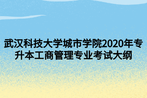 武汉科技大学城市学院2020年专升本工商管理专业考试大纲