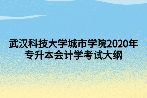武汉科技大学城市学院2020年专升本会计学考试大纲