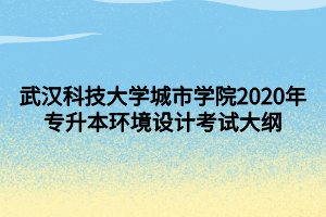 武汉科技大学城市学院2020年专升本环境设计考试大纲