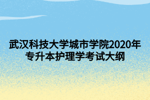 武汉科技大学城市学院2020年专升本护理学考试大纲