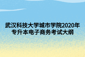 武汉科技大学城市学院2020年专升本电子商务考试大纲