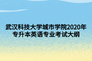 武汉科技大学城市学院2020年专升本英语专业考试大纲