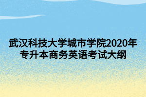 武汉科技大学城市学院2020年专升本商务英语考试大纲