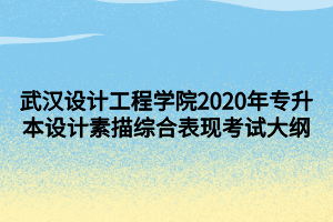 武汉设计工程学院2020年专升本设计素描综合表现考试大纲